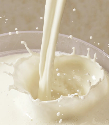 All Day Hydration Duo ingredient image 4